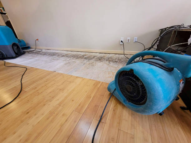 Professional Sewage Cleanup technician working in Mount Pleasant, SC
